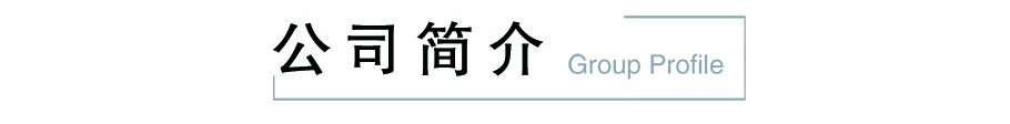 盐城市东方晟世电热科技有限公司